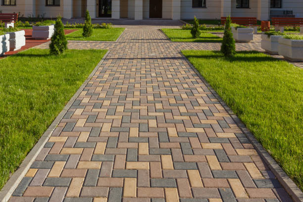 Best Driveway Paving Company  in Wadena, MN